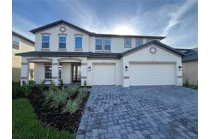 9476 Seagrass Port Pass, WESLEY CHAPEL