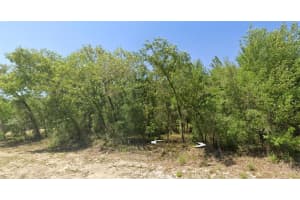 Rainbow Lakes Blvd, DUNNELLON