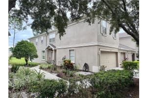 4121 Key Thatch Dr, TAMPA