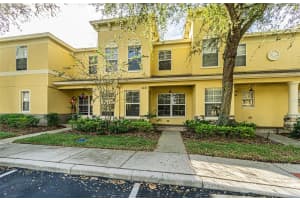 3421 Dragon View Ct, VALRICO