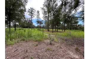 16051 Sw 44 St, OCALA