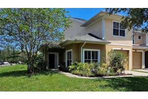 8202 Down Royal Rd, TAMPA
