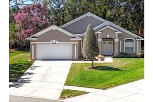 1222 Brandy Lake View Cir, WINTER GARDEN