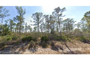 3334 Barn Swallow Ave, LAKE PLACID