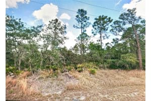 1129 Marabella Rd, LAKE PLACID 1129 Marabella Rd, LAKE PLACID