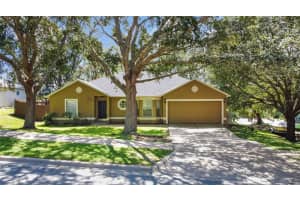 908 Bristle Cone Ct, MINNEOLA