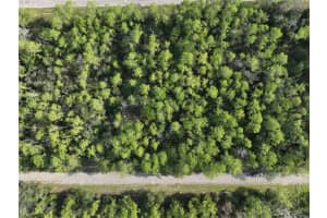 598 E Marquette Ln, DUNNELLON