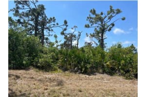 1 Skipper Ln, PLACIDA