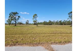 14108 Tilefish Ct, PLACIDA