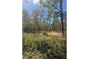 Nw Ridgewood Rd, DUNNELLON