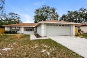3722 Greenford St, VALRICO 3722 Greenford St, VALRICO