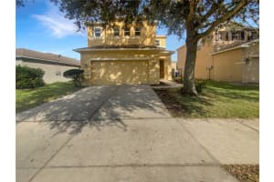 9719 Maxson Dr, LAND O LAKES