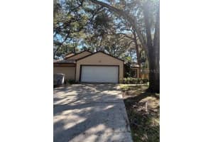 1119 Indian Bluff Dr, APOPKA 1119 Indian Bluff Dr, APOPKA