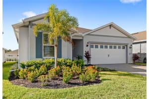 13846 Fresh Ivy St, WINTER GARDEN