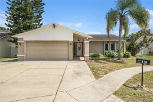 8010 Buttonball Ln, PORT RICHEY