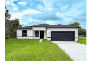 15716 Sw 46th Avenue Rd, OCALA