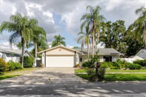 15909 Crying Wind Dr, TAMPA