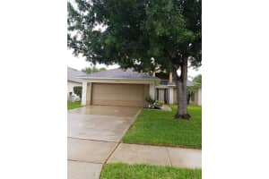 19551 Glen Elm Way, ORLANDO 19551 Glen Elm Way, ORLANDO