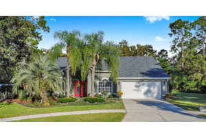 13807 Forestside Ct, ORLANDO