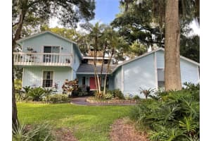 9631 Hollyglen Pl, WINDERMERE