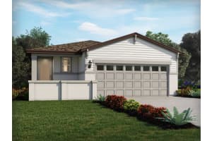 614 Pennywort St, LAKE ALFRED