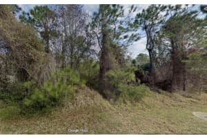 10 Zephyr Lily Trl, PALM COAST