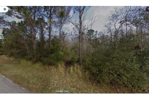 8 Zephyr Lily Trl, PALM COAST