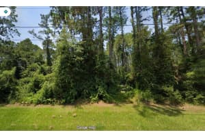 2507 Coachman Dr, DELTONA