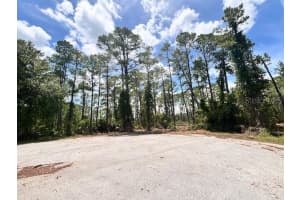 Chinaberry Way, EUSTIS