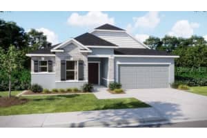 12 Maidenbush Cir, HOMOSASSA