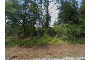 1015 Pilgrim St E, LEHIGH ACRES