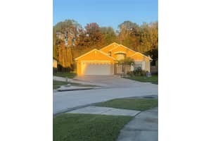 519 Tree Shore Dr, ORLANDO