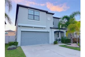 4105 Wild Senna Blvd, TAMPA