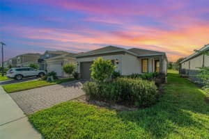 17395 Saw Palmetto, CLERMONT