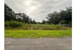 207 Starling Ct, POINCIANA