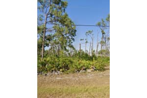 110 Wahoo Dr, ROTONDA WEST 110 Wahoo Dr, ROTONDA WEST