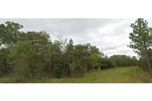 Ne 151 Ter, WILLISTON Ne 151 Ter, WILLISTON