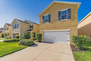 10201 Hawk Storm Ave, TAMPA