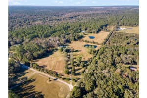 530 Rebel Run, OSTEEN 530 Rebel Run, OSTEEN