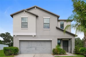 36125 Stable Wilk Ave, ZEPHYRHILLS