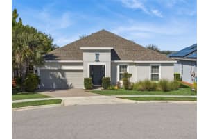 3375 Hanging Tide St, WINTER GARDEN