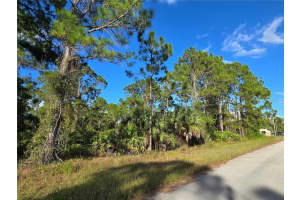 1137 Rambler St, LEHIGH ACRES