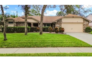 , WINTER SPRINGS , WINTER SPRINGS