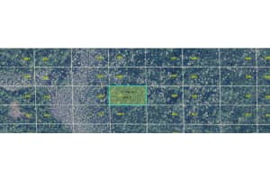 Dill Rd, ORLANDO Dill Rd, ORLANDO