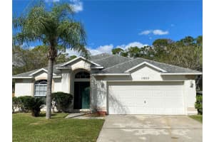 13833 Riverpath Grove Dr, ORLANDO