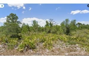 3420 Gerber Ave, LAKE PLACID