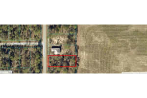 Tbd Nw Buena Vista Rd, DUNNELLON