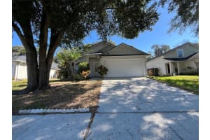 1182 Sheeler Hills Dr, APOPKA 1182 Sheeler Hills Dr, APOPKA