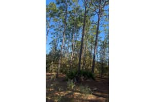 Sw 128th Terrace Rd, OCALA