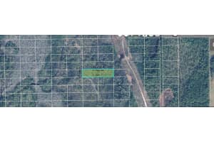 Dill Rd, ORLANDO Dill Rd, ORLANDO